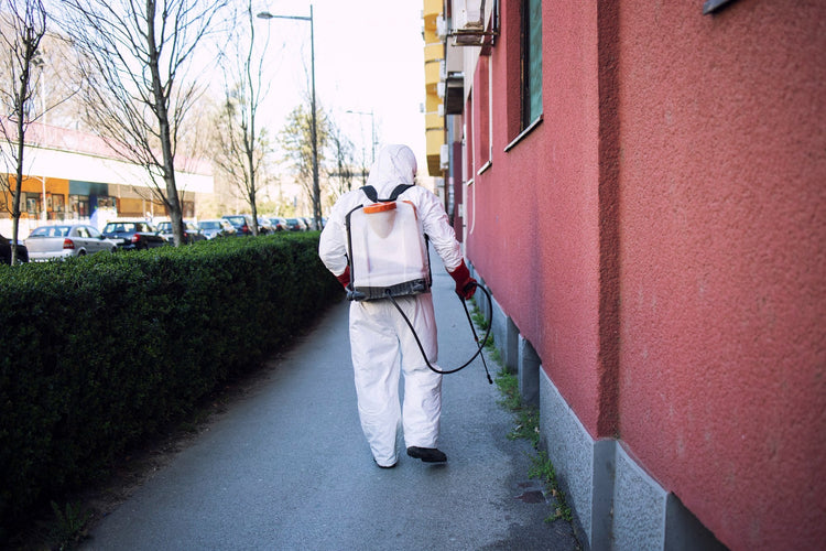 Termite & Wood-Borer Protection