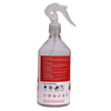RTS Bedbugs Management