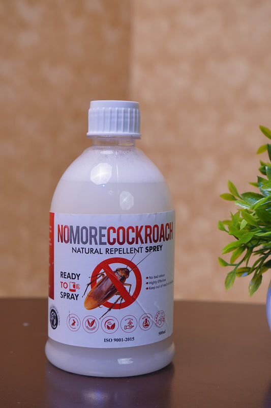 RTS Cockroach Management