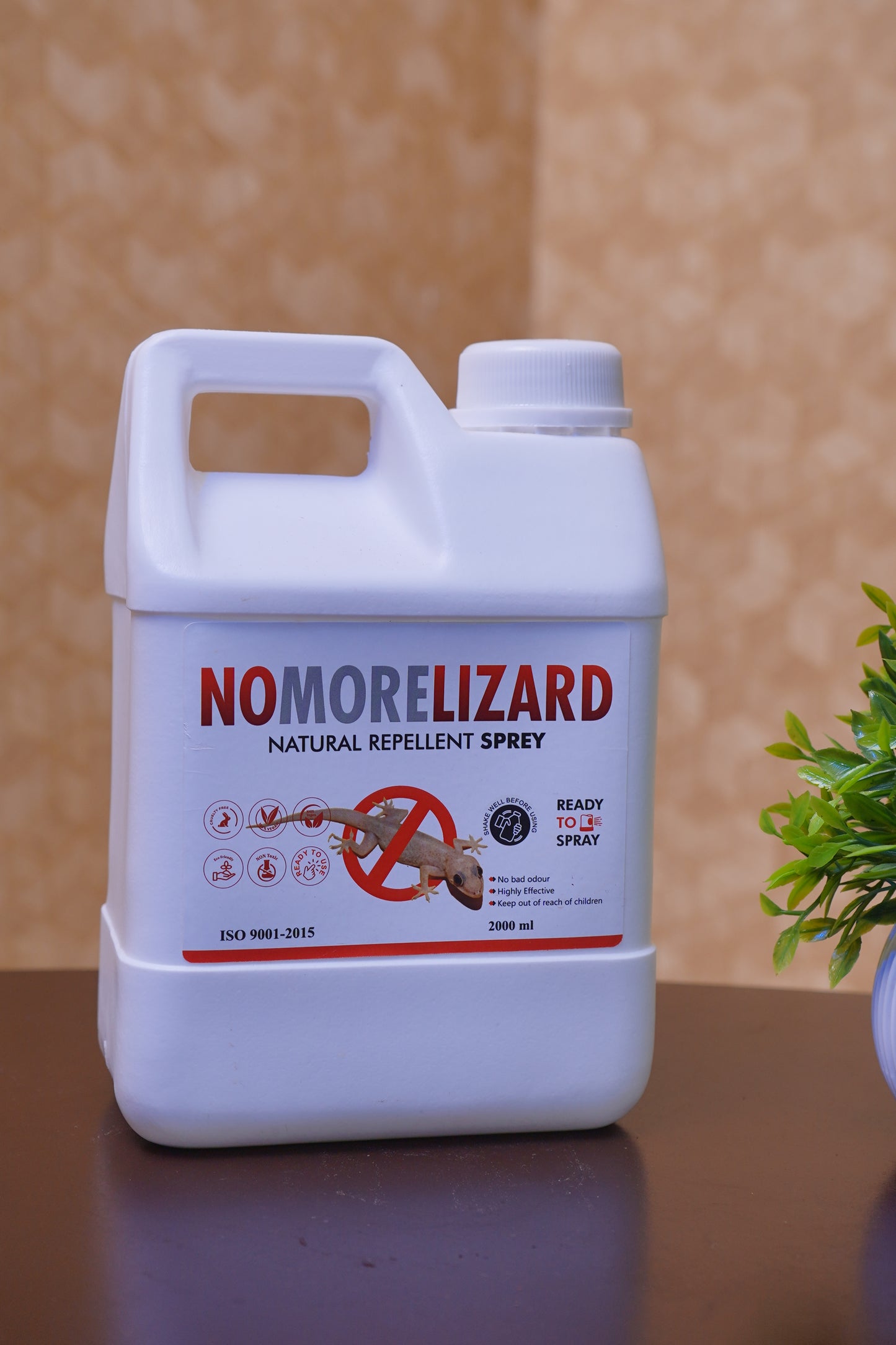 RTS Lizard Management