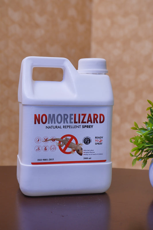 RTS Lizard Management