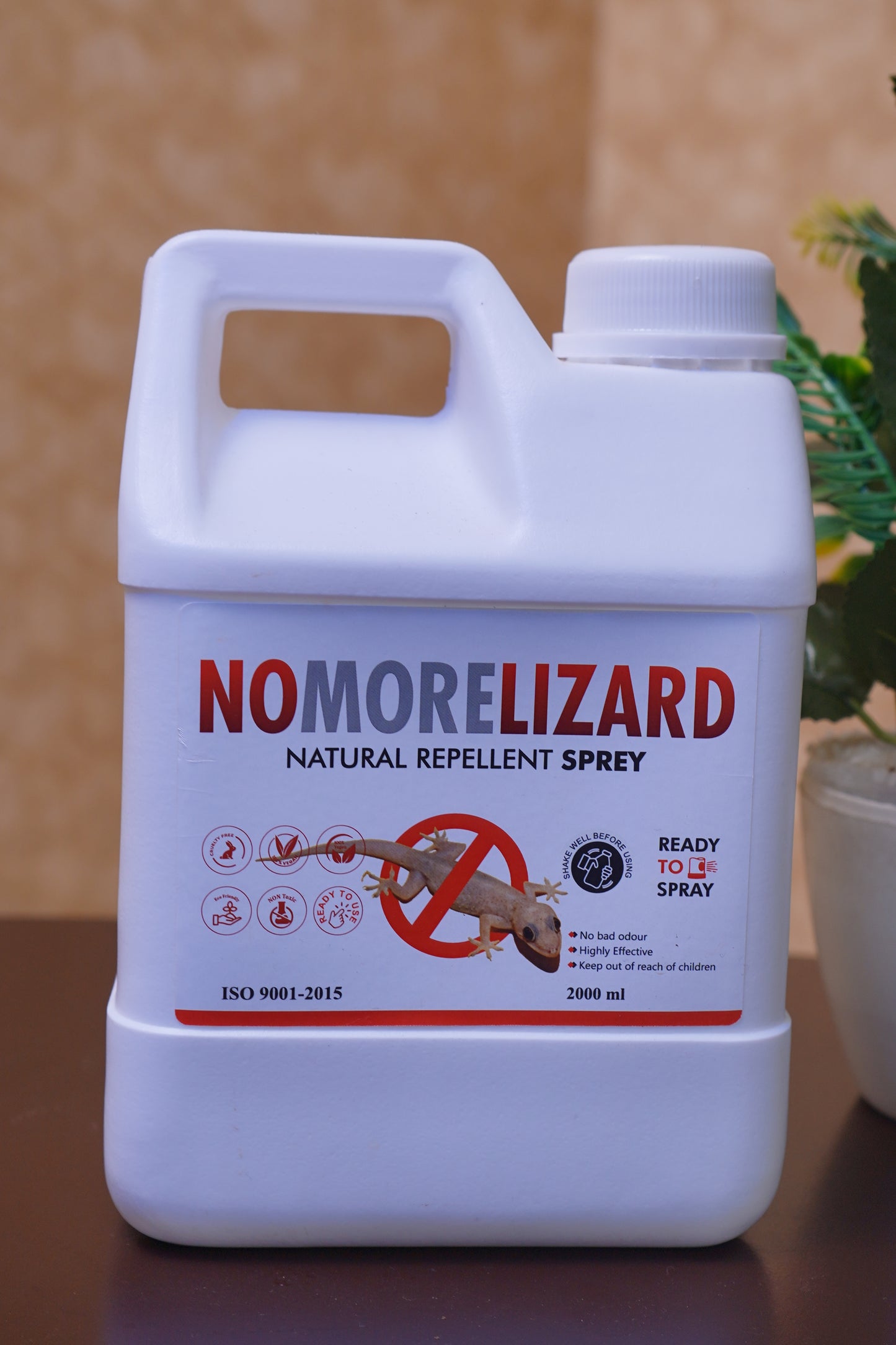 RTS Lizard Management