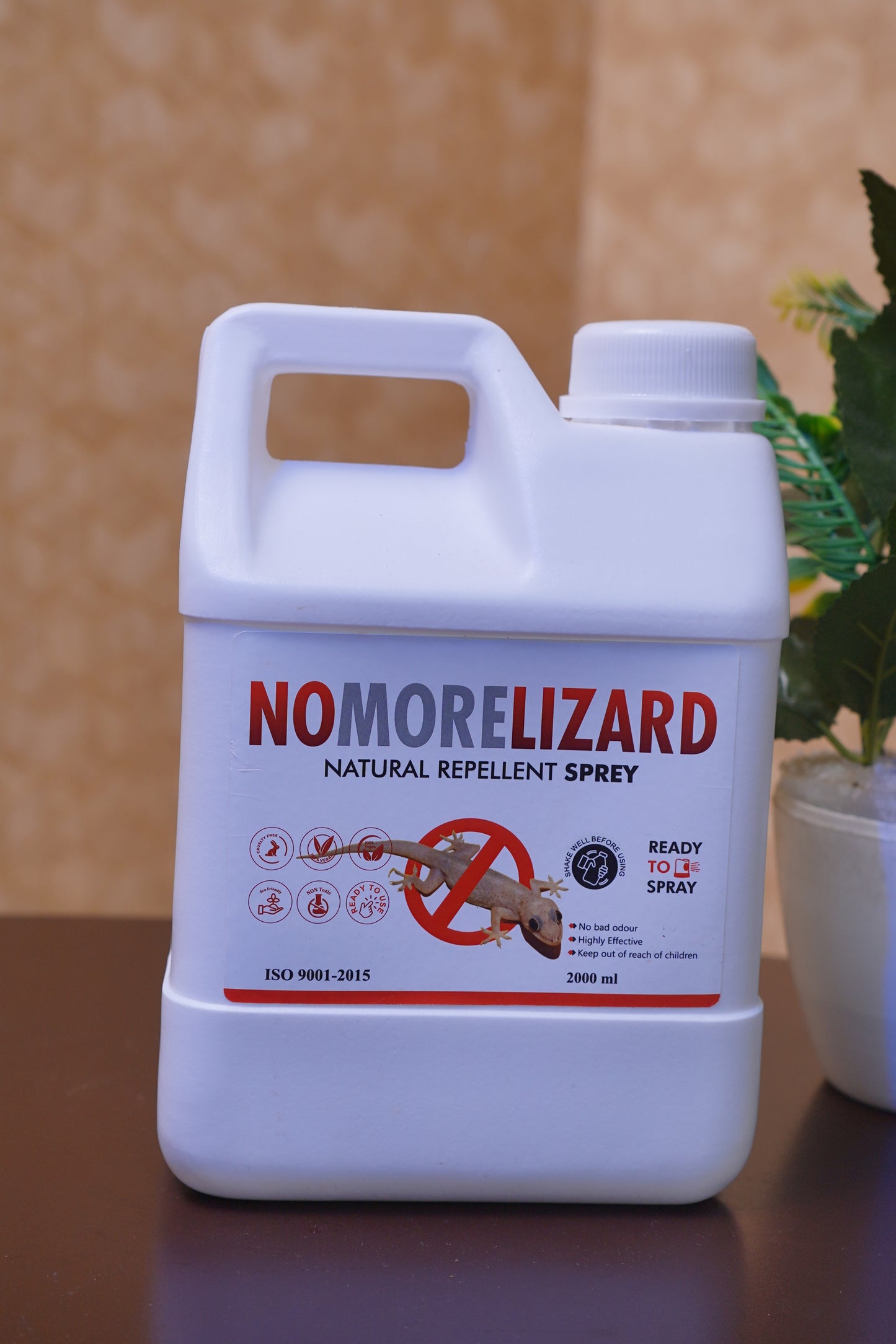 RTS Lizard Management